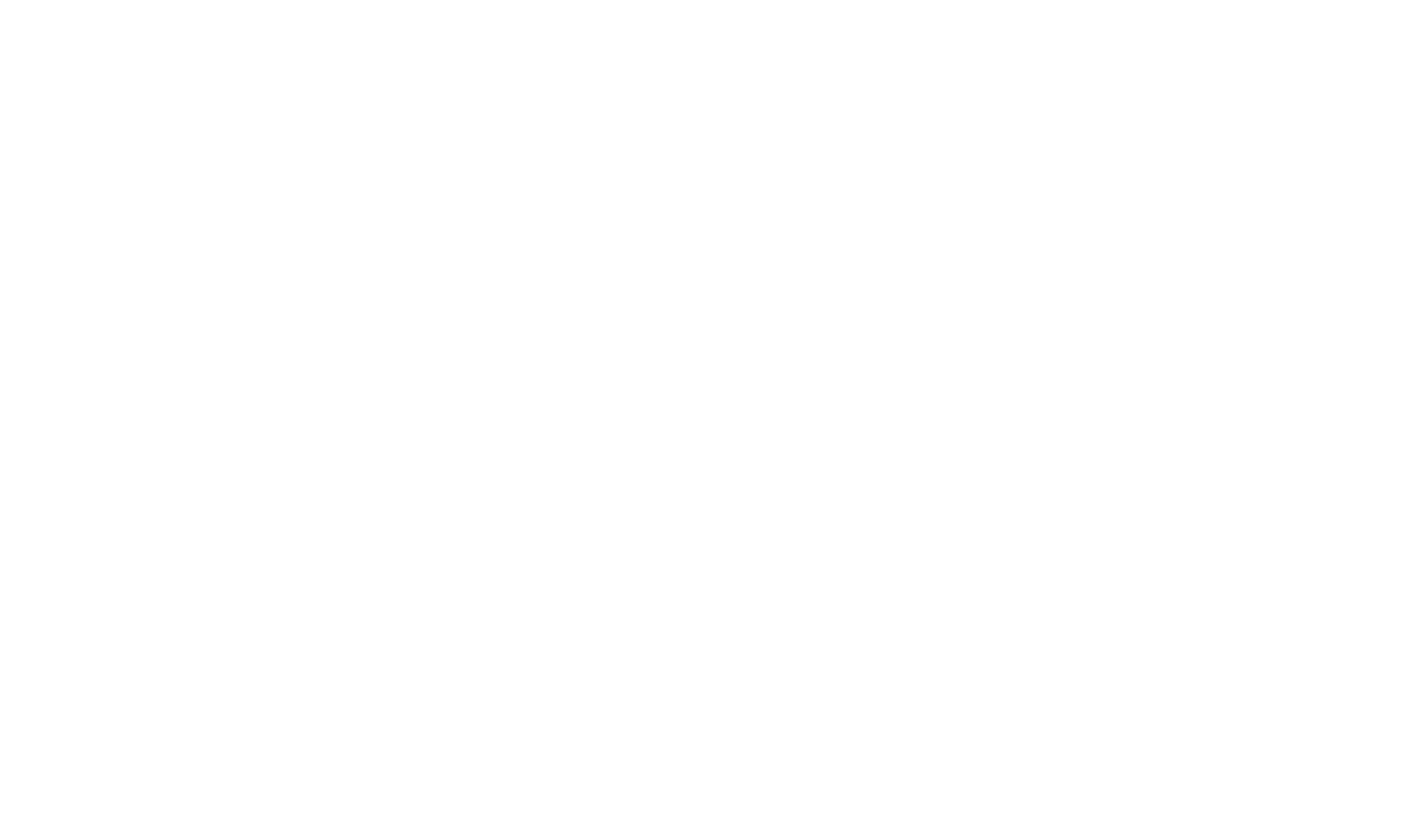 logo passione pappagalli free flight aps (2)